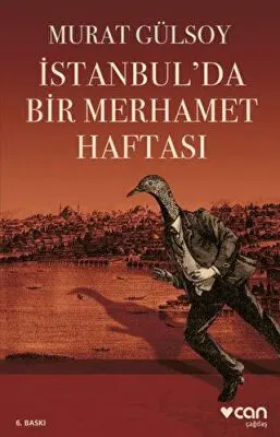 İstanbul’da Bir Merhamet Haftası kapağı