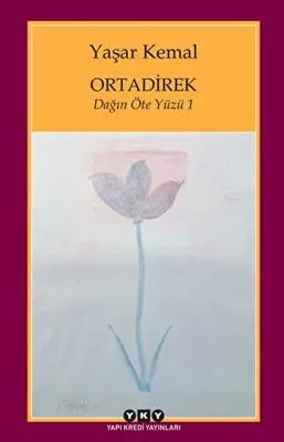 Ortadirek kapağı