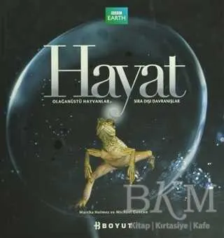 Hayat kapağı