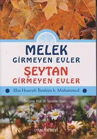 Melek Girmeyen Evler - Şeytan Girmeyen Evler kapağı
