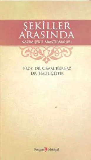 Şekiller Arasında kapağı