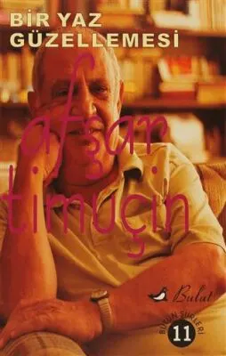 Bir Yaz Güzellemesi kapağı