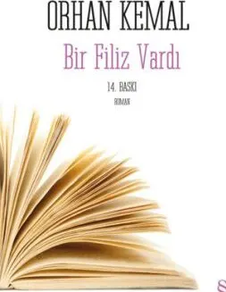 Bir Filiz Vardı kapağı
