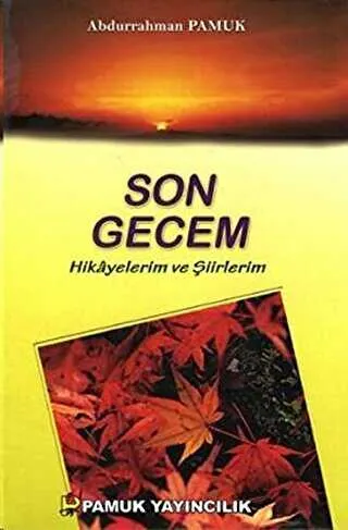 Son Gecem - Hikayelerim ve Şiirlerim Kültür-003 kapağı