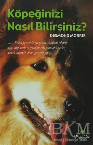 Köpeğinizi Nasıl Bilirsiniz? kapağı
