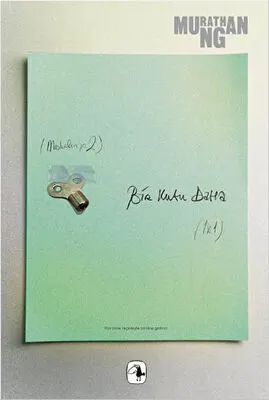 Bir Kutu Daha kapağı