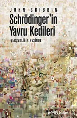 Schrödinger’in Yavru Kedileri kapağı