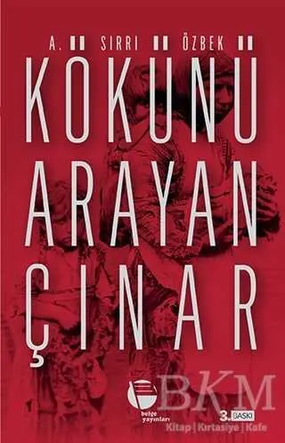 Kökünü Arayan Çınar kapağı
