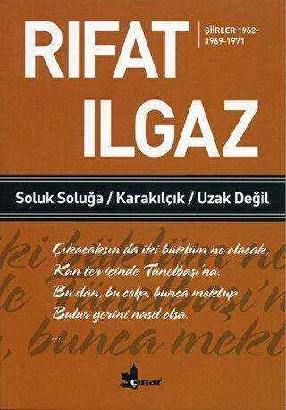 Soluk Soluğa Karakılçık Uzak Değil - Şiirler 1962-1969-1971 kapağı