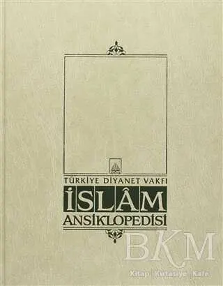 İslam Ansiklopedisi Cilt: 29 kapağı