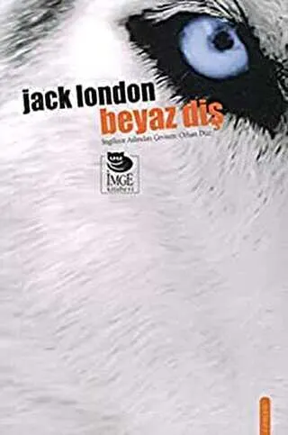 Beyaz Diş kapağı