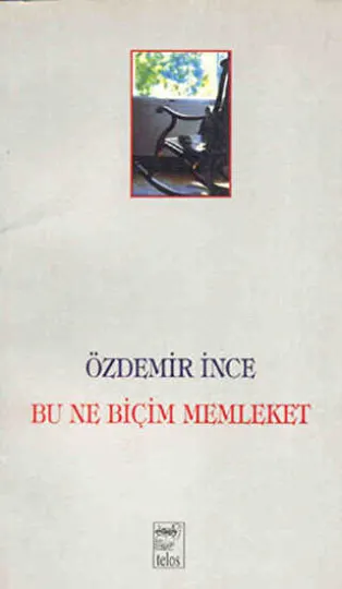 Bu Ne Biçim Memleket kapağı