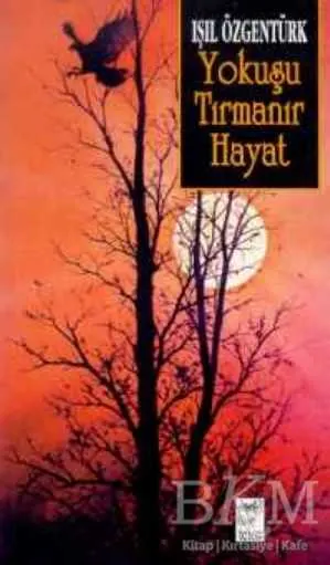 Yokuşu Tırmanır Hayat kapağı