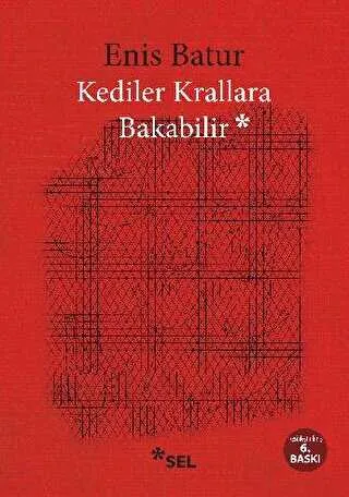 Kediler Krallara Bakabilir kapağı