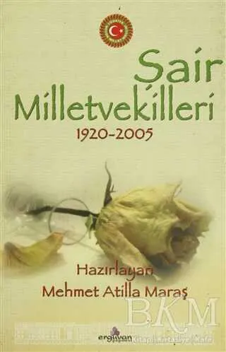 Şair Milletvekilleri 1920-2005 kapağı