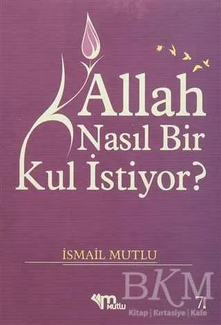 Allah Nasıl Bir Kul İstiyor? kapağı
