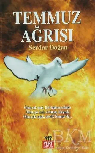 Temmuz Ağrısı kapağı