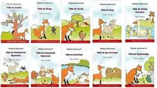 Tilkinin Serüvenleri Düz Yazılı - 10 Kitap Takım kapağı
