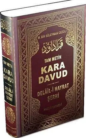Kara Davud - Delail-i Hayrat Şerhi Şamua kapağı