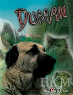 Duman kapağı