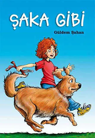 Şaka Gibi kapağı
