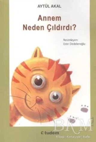 Annem Neden Çıldırdı kapağı