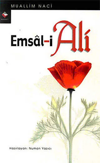 Emsal-i Ali kapağı