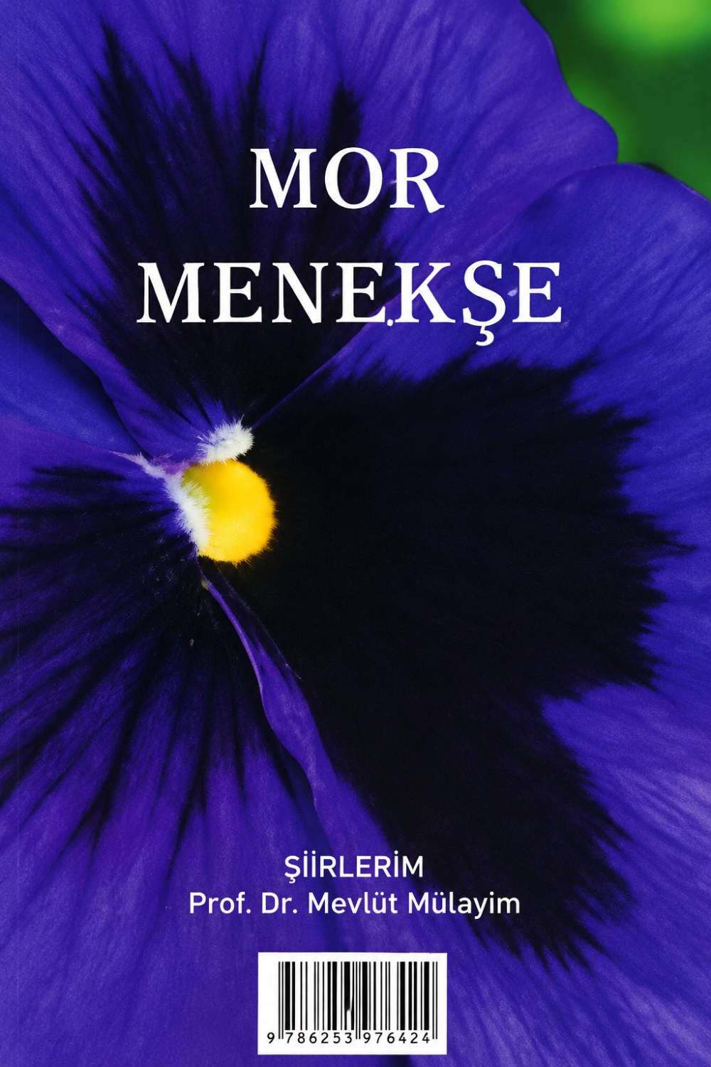 Mor Menekşe kapağı